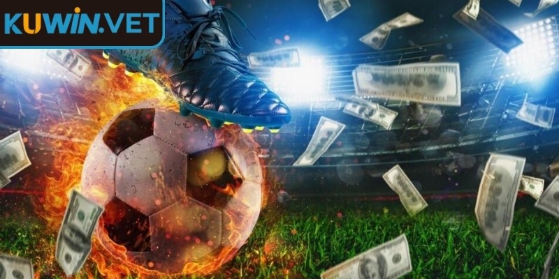 Bỏ túi kinh nghiệm hữu ích