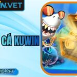 Máy Bắn Cá Kuwin – Trải Nghiệm Linh Hoạt, Nhịp Cuốn Hút